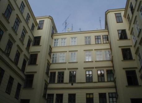 view from inside the house