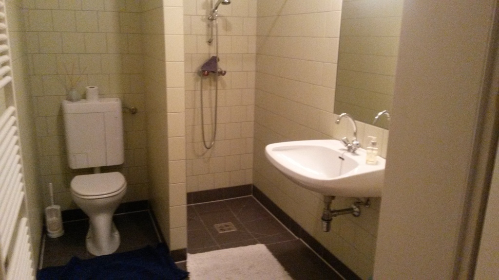 Das Badezimmer im Erdgeschoß. La salle de bains au rez-de-chaussée.