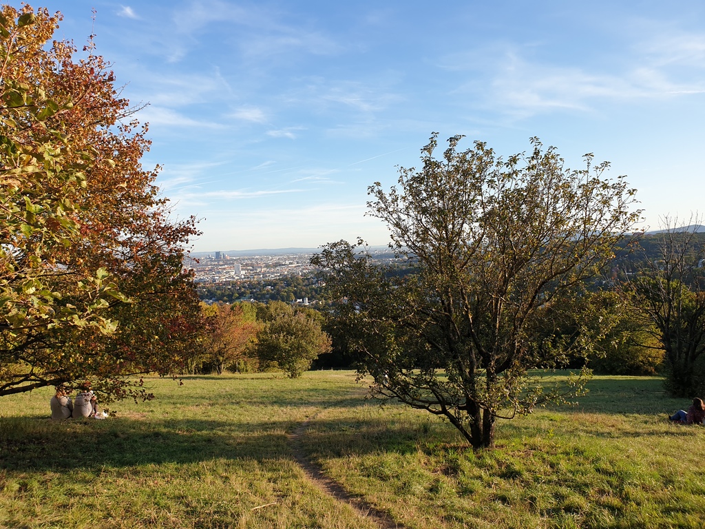 View across Vienna from the top of "Schafberg", a 20 to 30 minutes' walk from our home