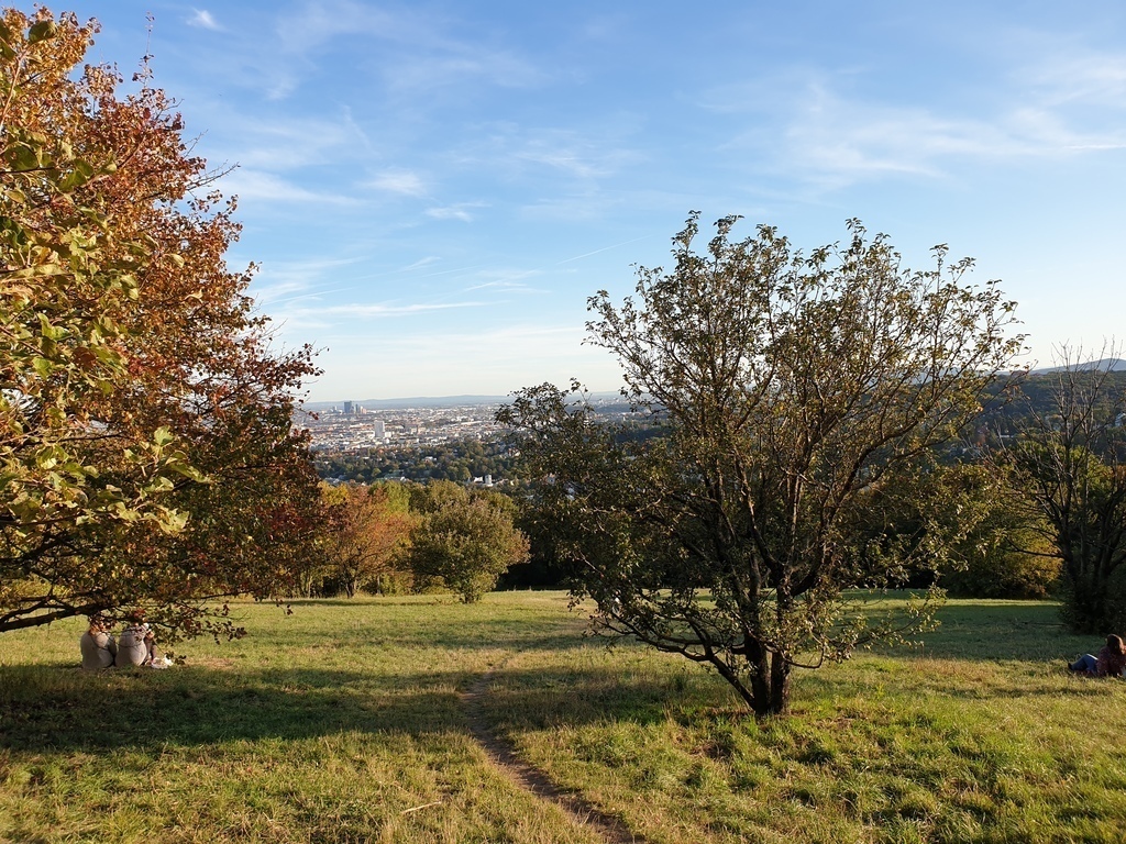 View across Vienna from the top of "Schafberg", a 20 to 30 minutes' walk from our home