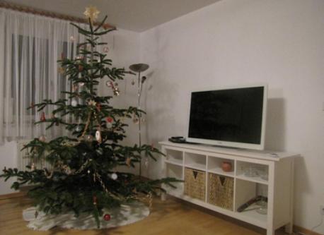 TV with Christmas tree
