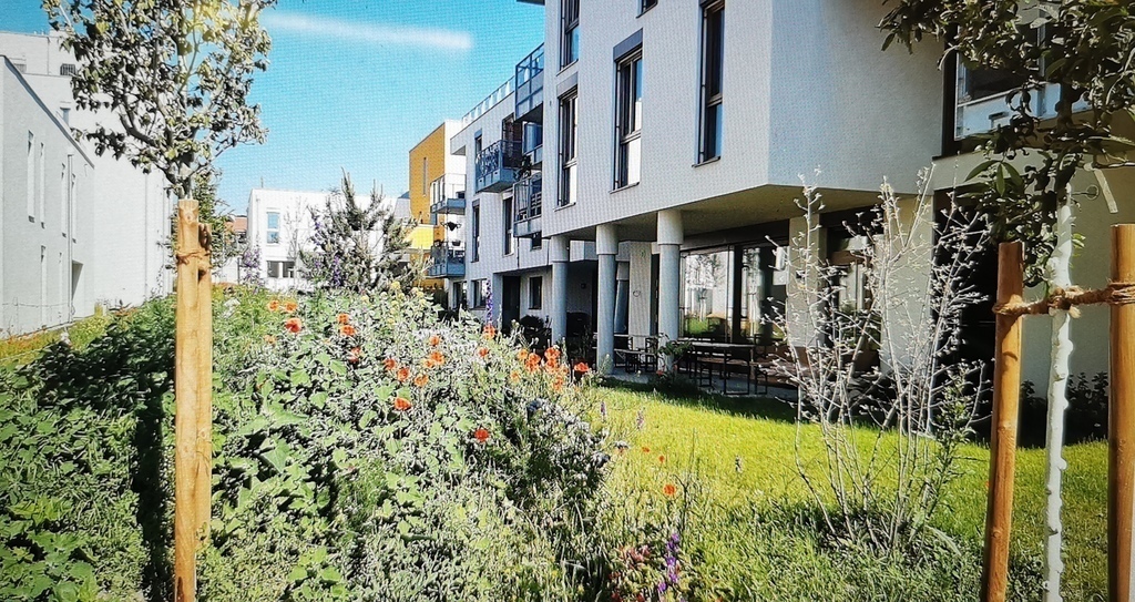 community garden and the house, where is our flat