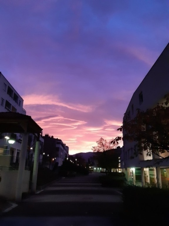Morning light in our street