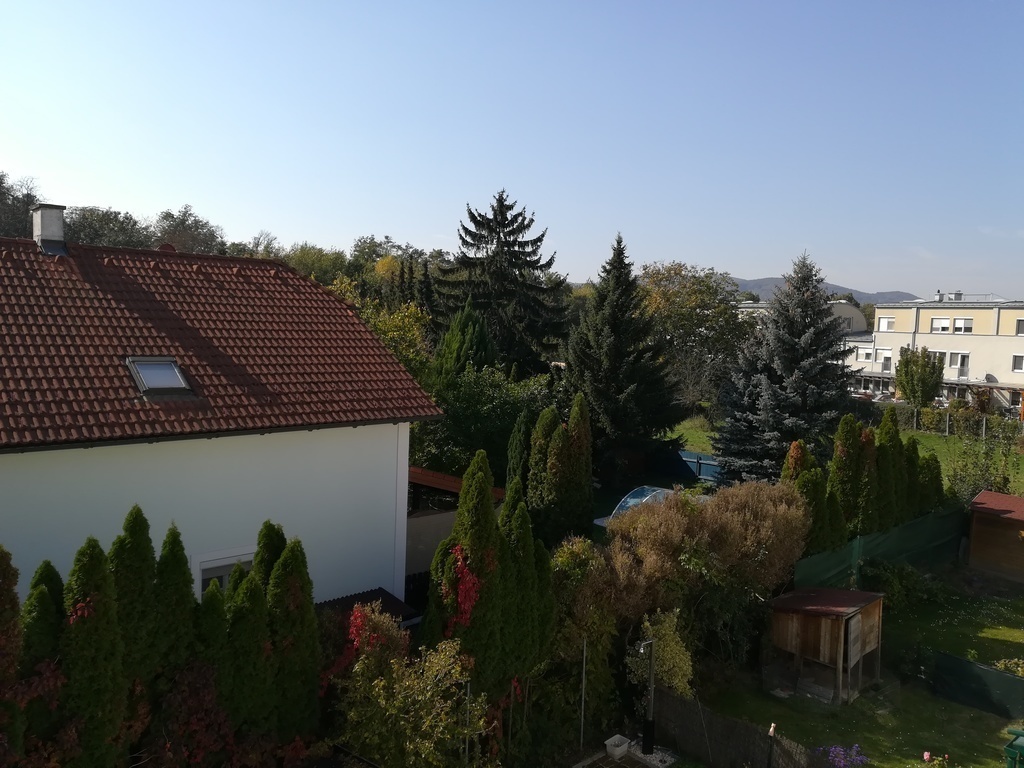 View from the roof terrace