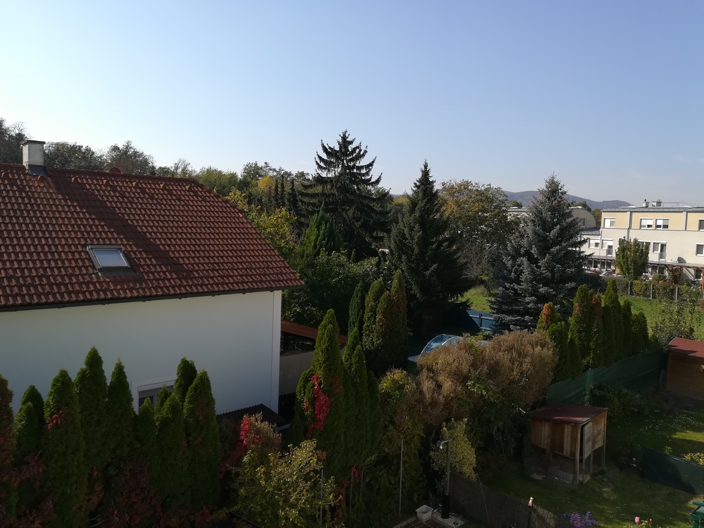 View from the roof terrace