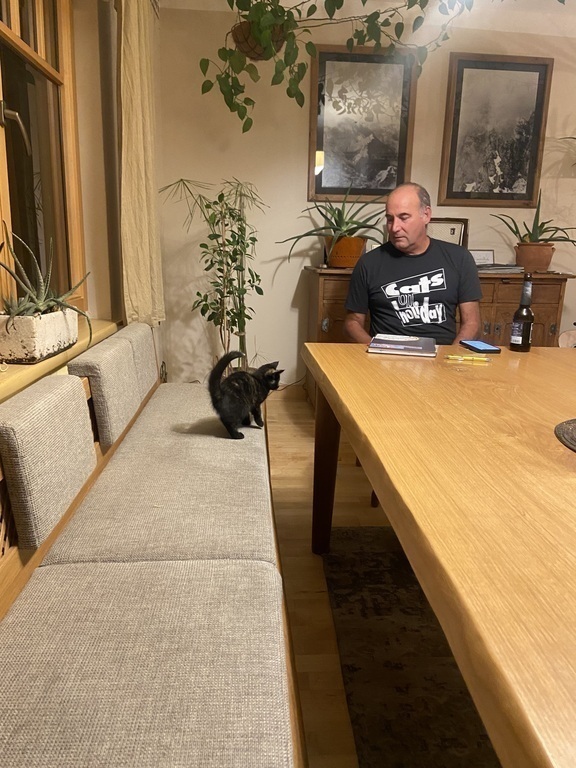 Our dining room-kitchen-bar open space