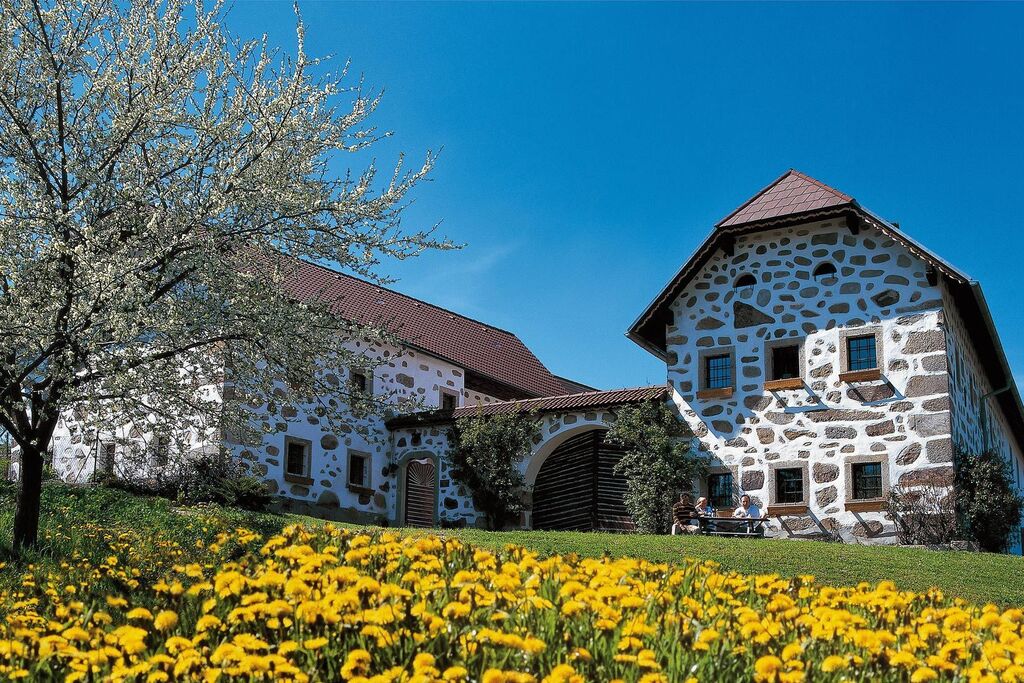 Typical farm house; with self-service shops, where you can purchase local products (organic eggs, pasta, cheese ....)