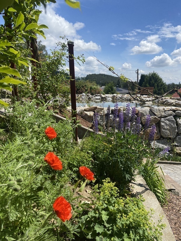 Our garden in which you can relax and enjoy yourself