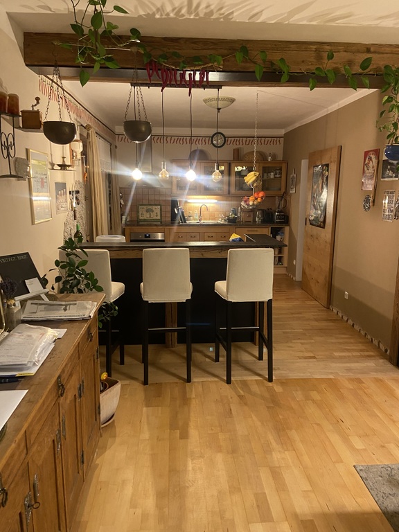 Kitchen and bar (on the side our pantry)