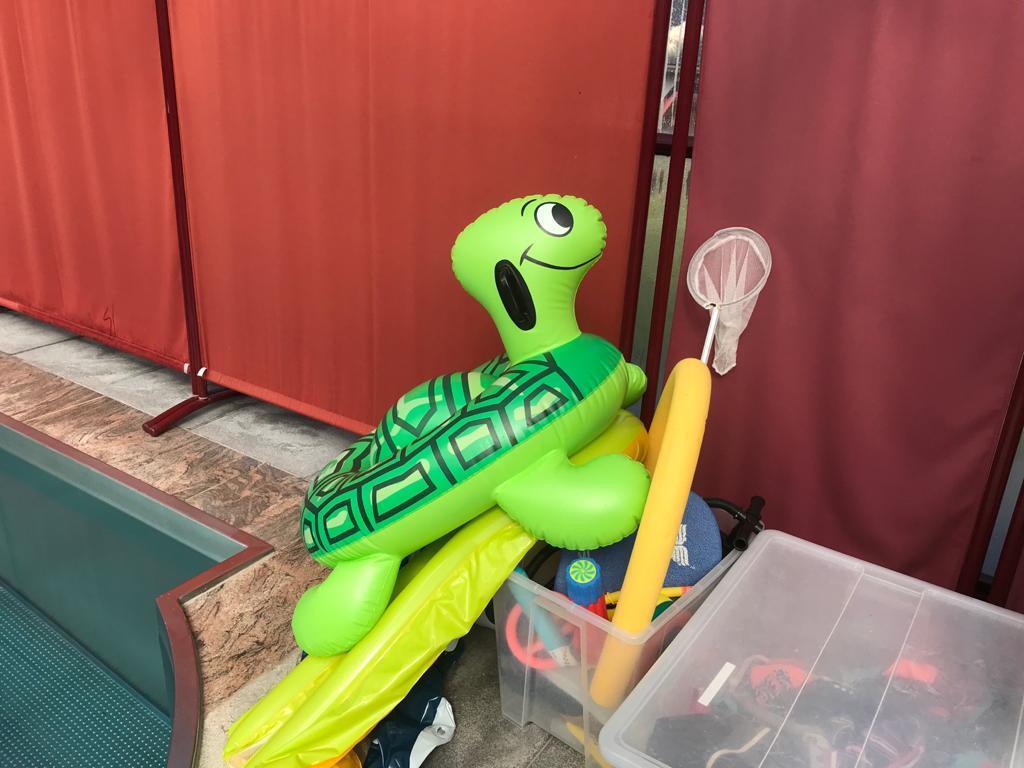 Swimming toys and utensils