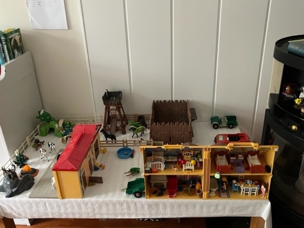 A lot of Playmobil