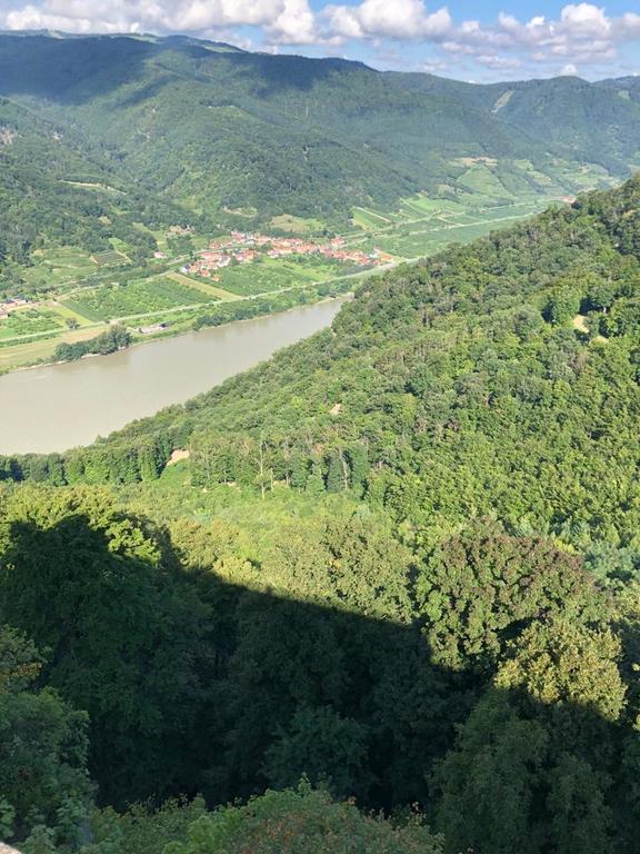 The Wachau area next to the Danube - famous for its wine