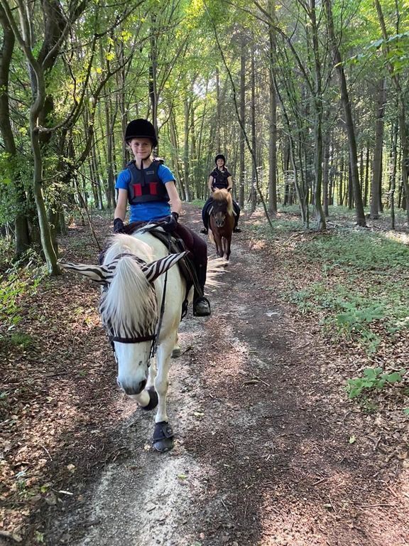 Horseback riding in the woods