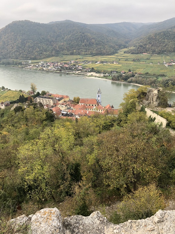 Always nearby the water