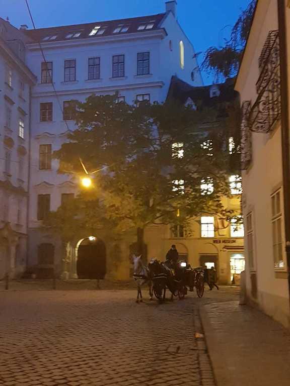old town horse carriage