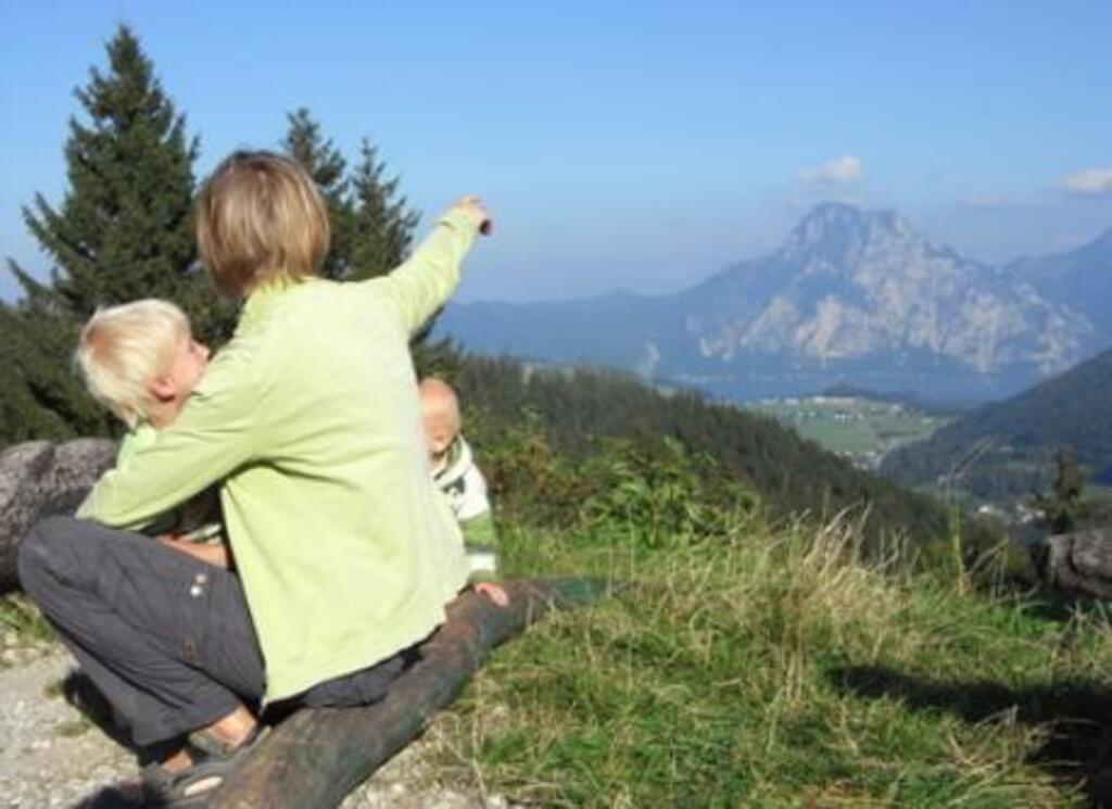 The famous mountain "Traunstein" 1h 20min from us