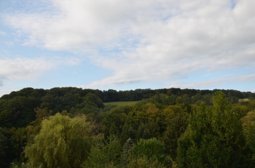 view from the balcony