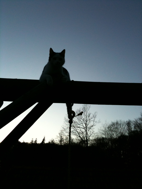 Best place for Lotta!