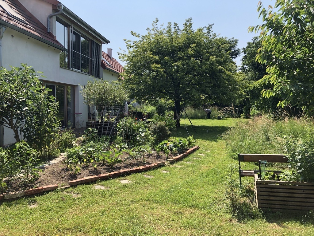 Vegetable garden