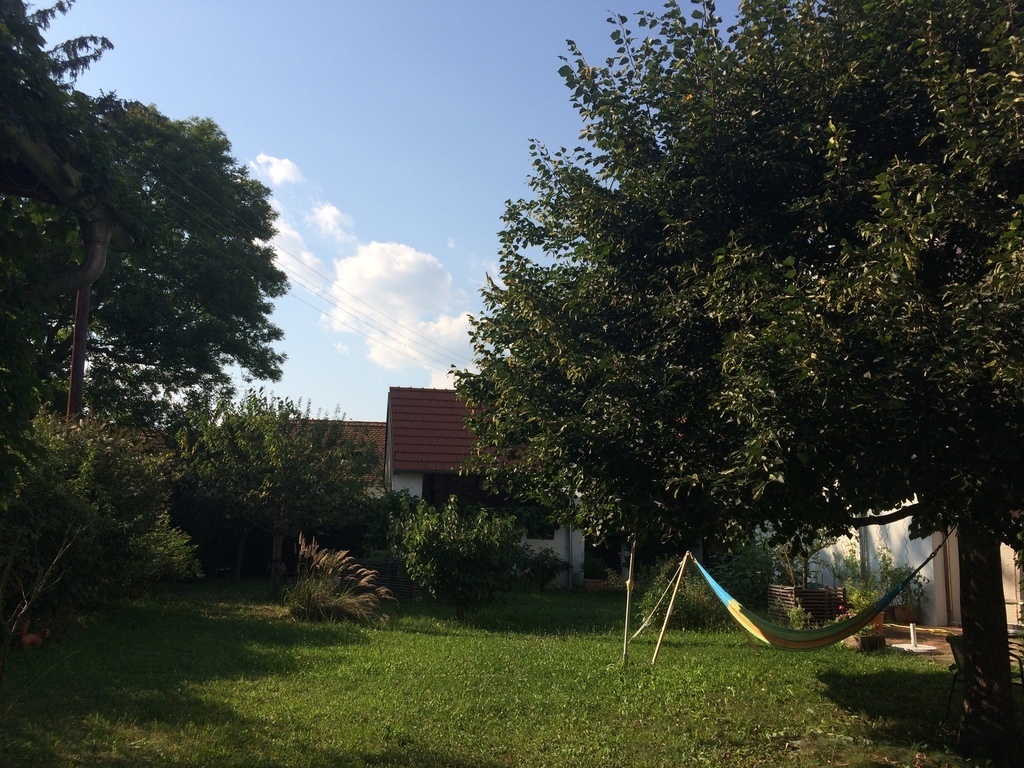Hammock in the garden