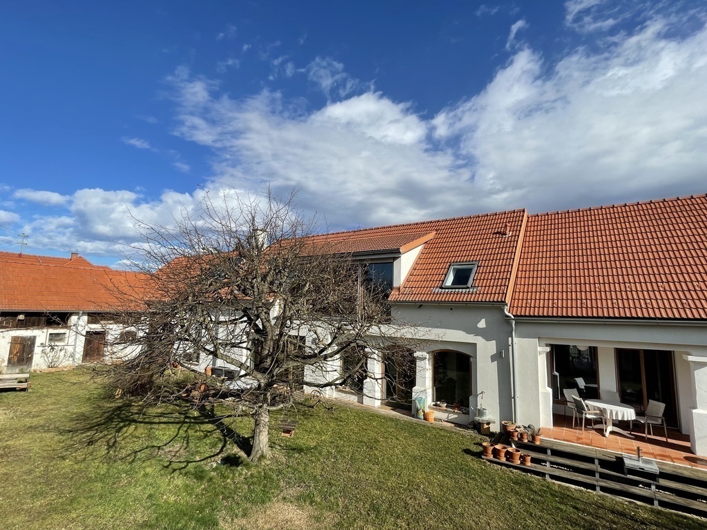 Our house and garden