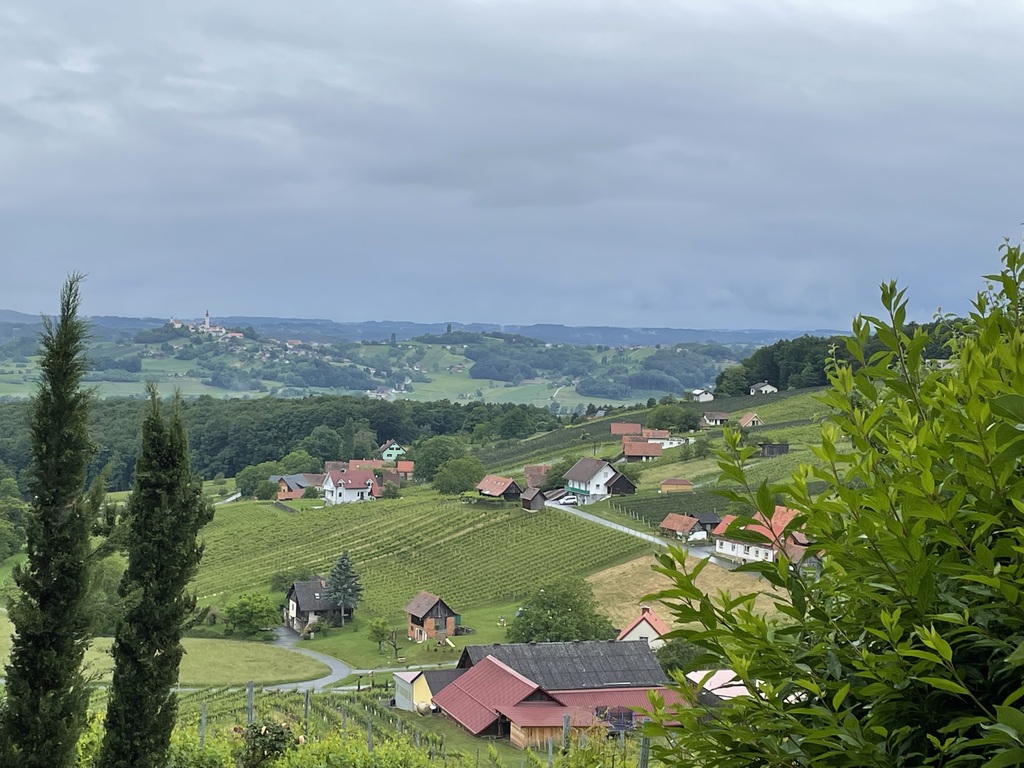 View from the hills nearby
