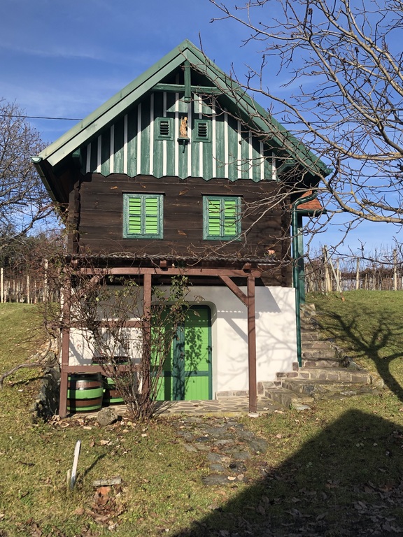 Traditional wine cellar in Csaterberg, 5 km from our house