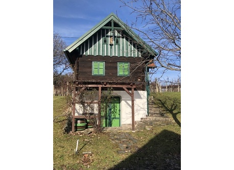 Traditional wine cellar in Csaterberg, 5 km from our house