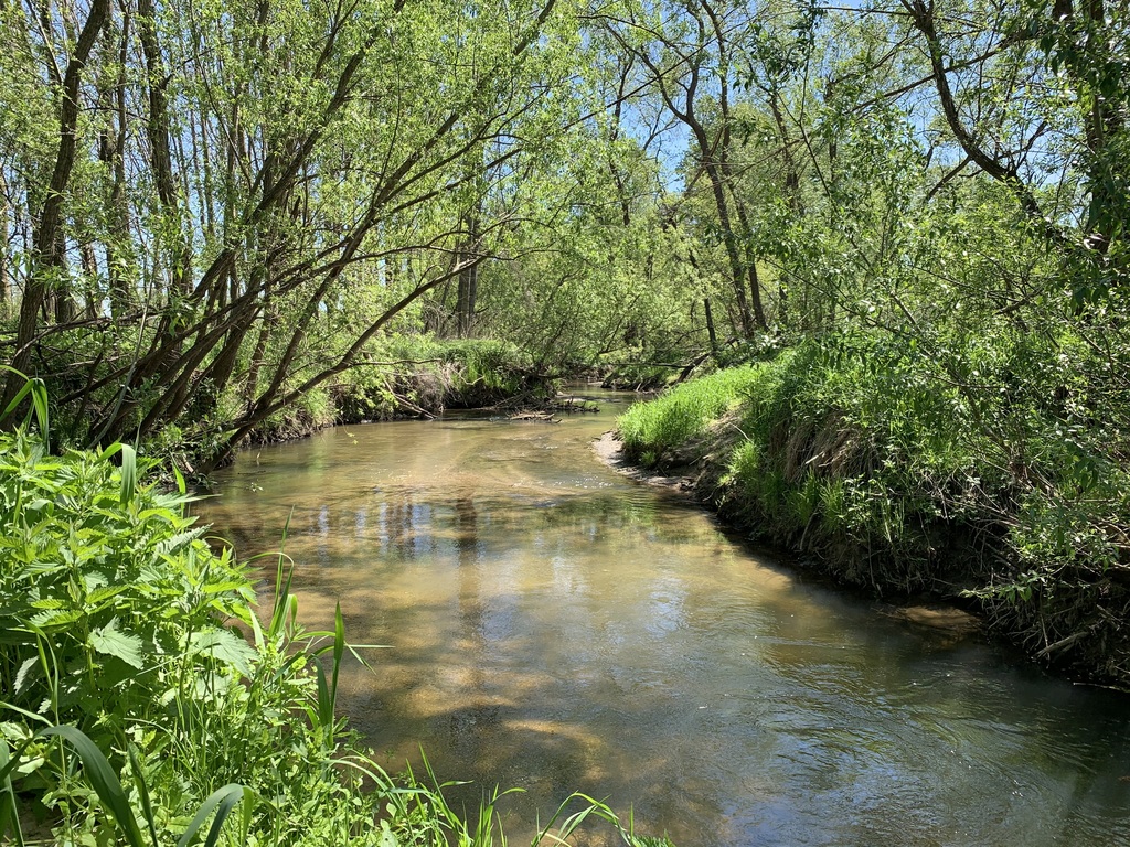 The river Pinka behind our house