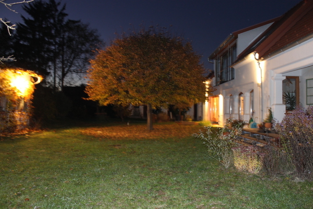 Garden in the evening