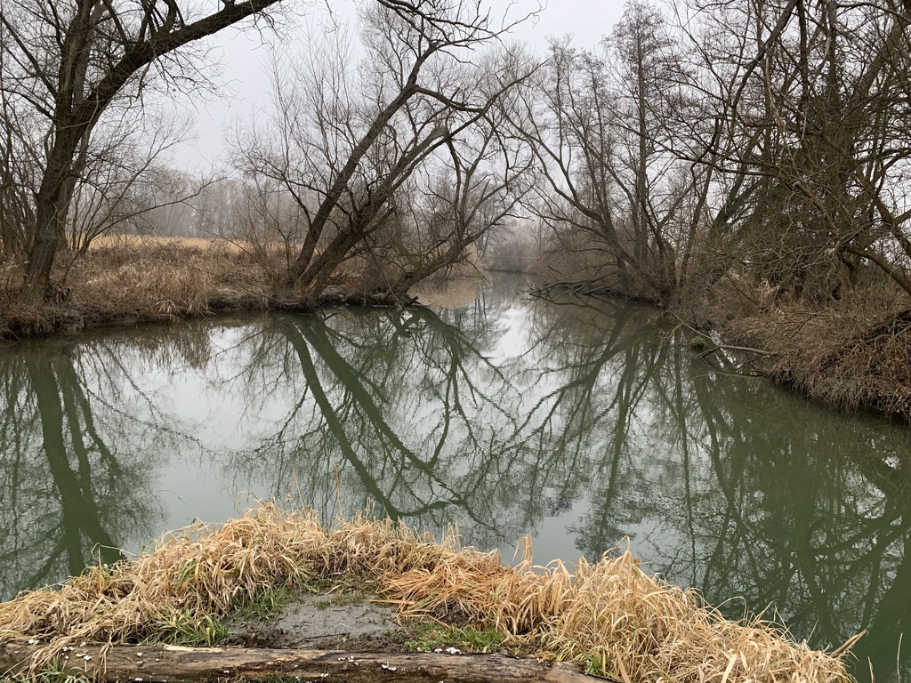 The river Pinka behind our house