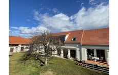 Our house and garden