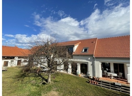 Our house and garden