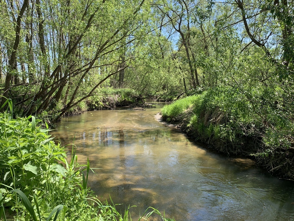 The river Pinka behind our house