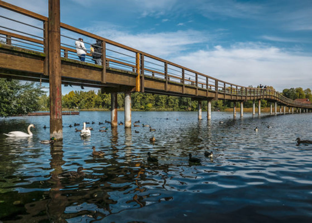 In Vienna: Old Blue Danube also nice for walking