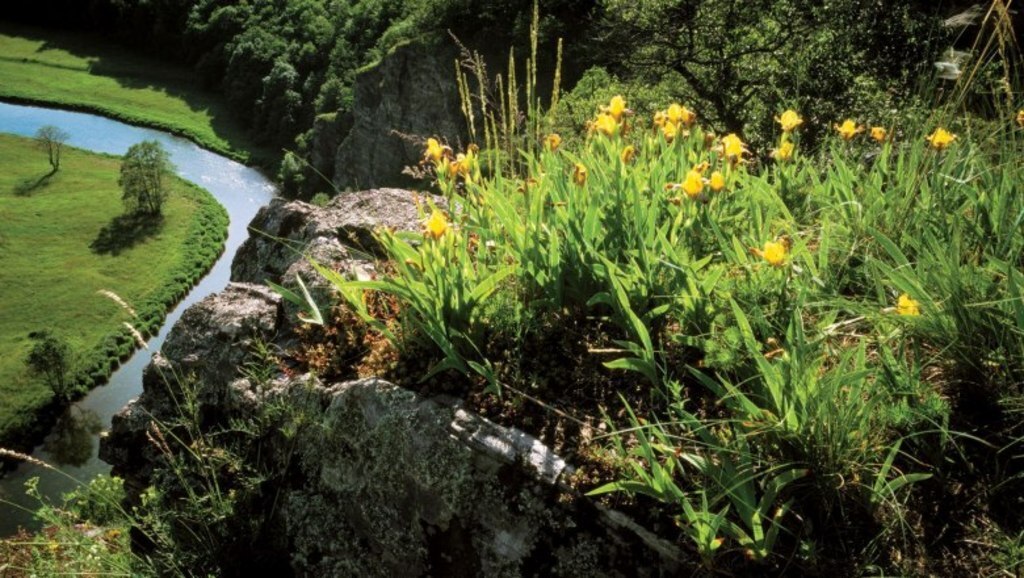 National Park Thayatal