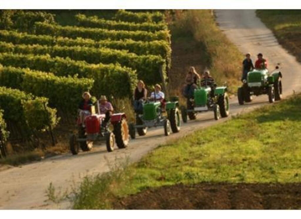 all about our region on www.weinviertel.at