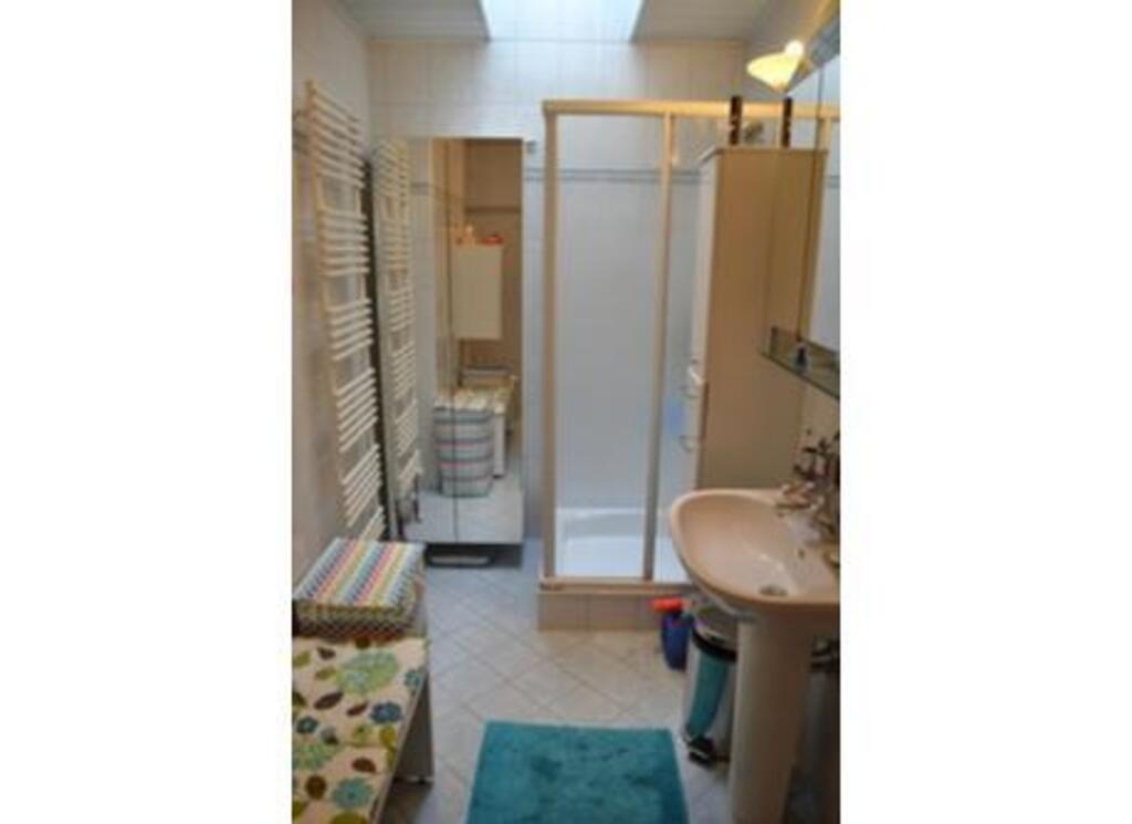 downstairs bath with toilet and shower