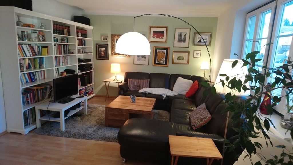 living room with TV, Netflix, PS3, fireplace, books.