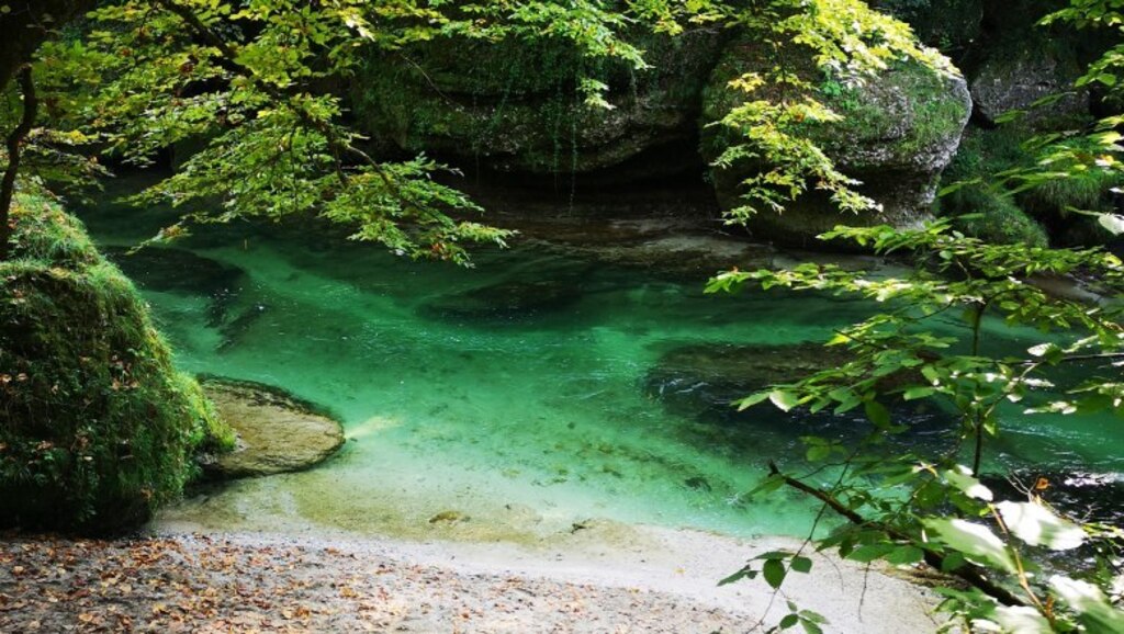 Erlaufschlucht 15 min by car. wonderful for hiking and swimming.