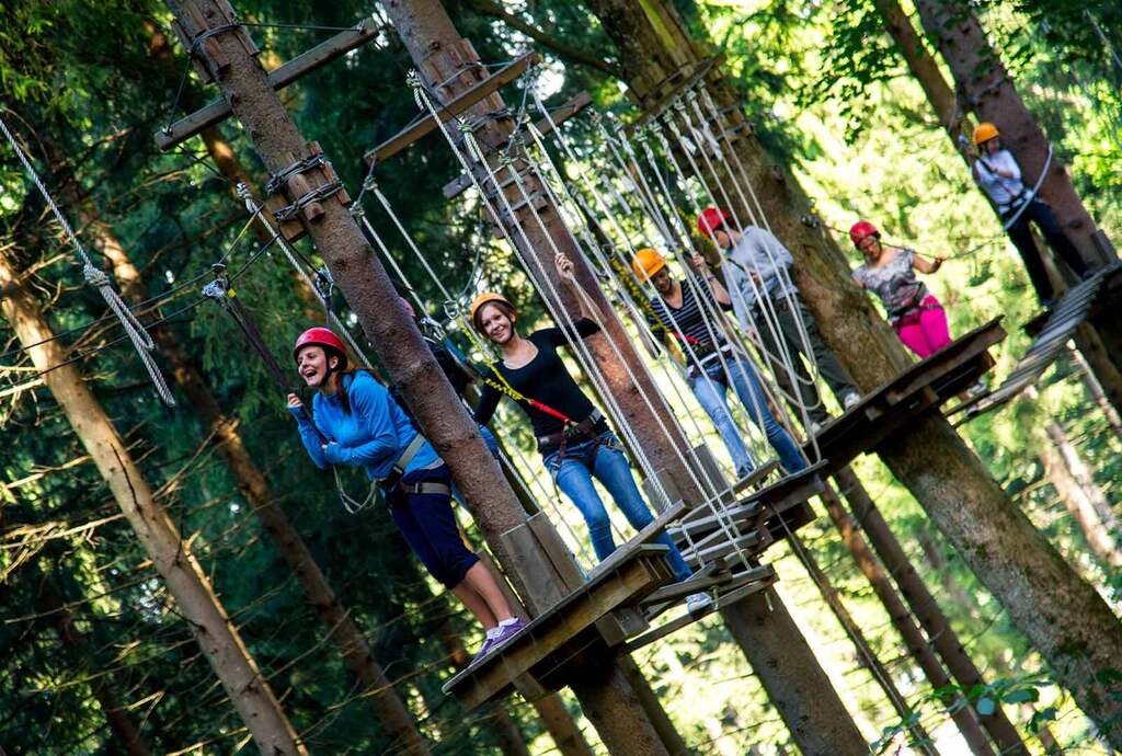 Zoo and hiking Buchenberg 30 min by car (next to Waidhofen)