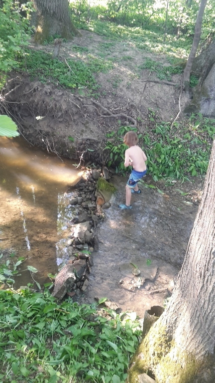small creek below our house