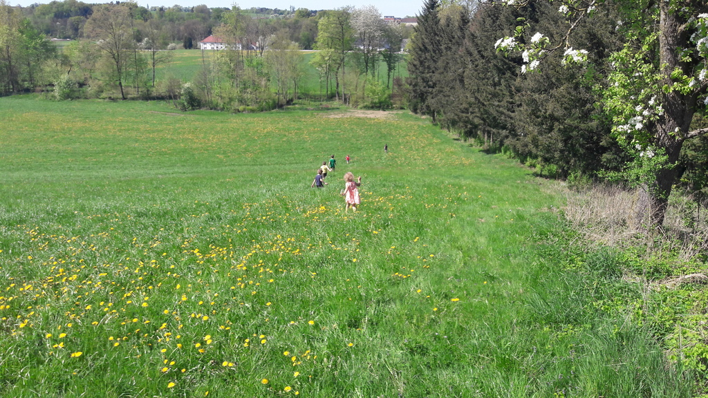 meadow under our  house