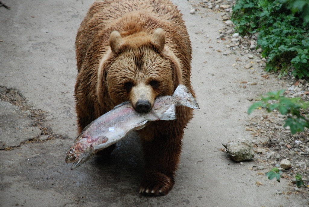 Tierpark Haag 30 min by car