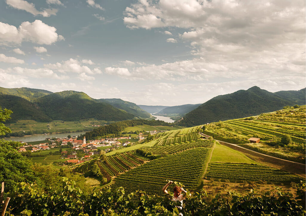 Wachau UNESCO world heritage since 2000, 30 min by car