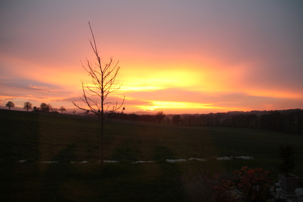 sunset on our terrace