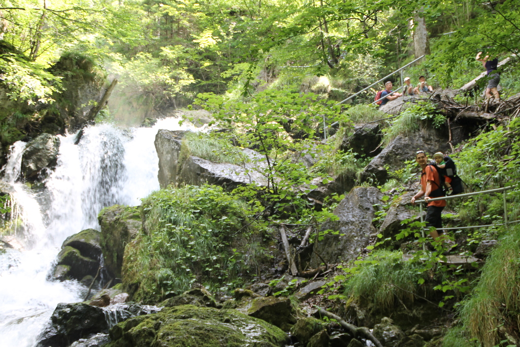 "Lassingfall" at the "Ötschergräben" the Grand Canyon from Austria
