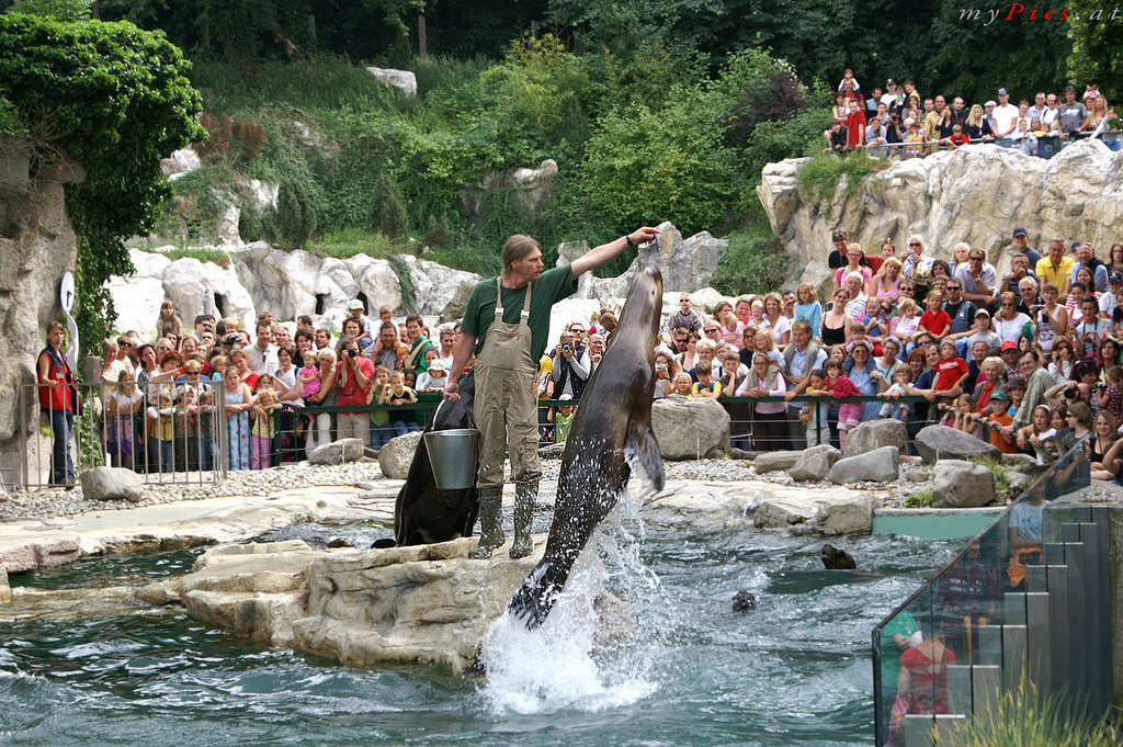 Schönbrunn - the eldest zoo of the world