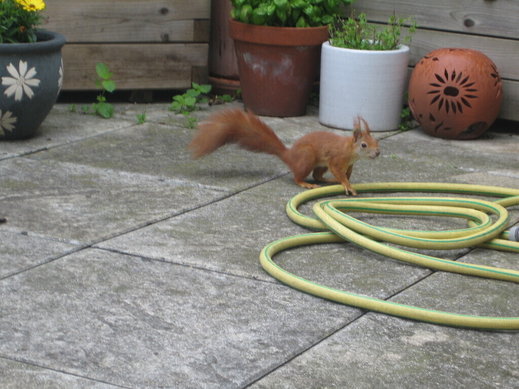 ... and with visitors.