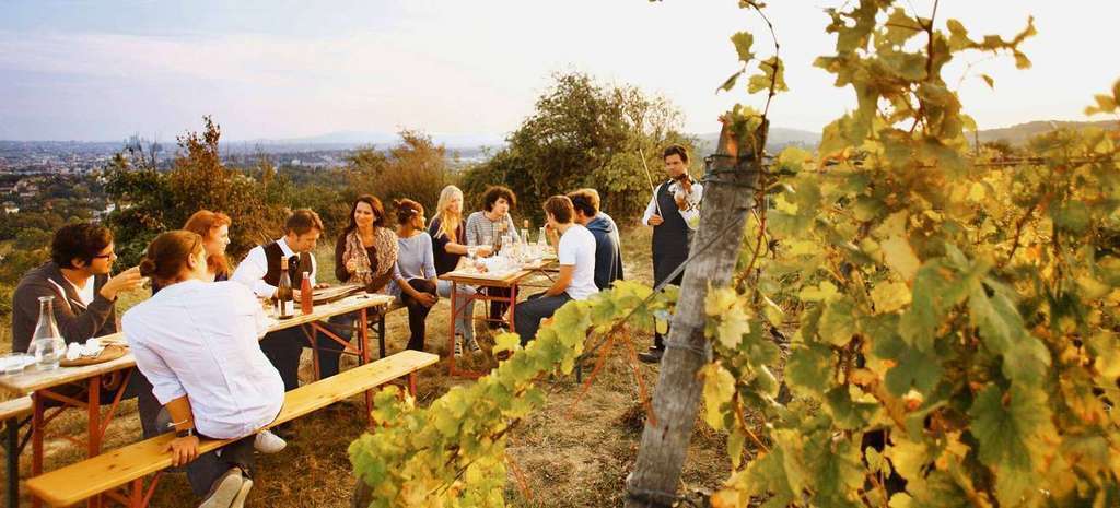 visit the "Heuriger"